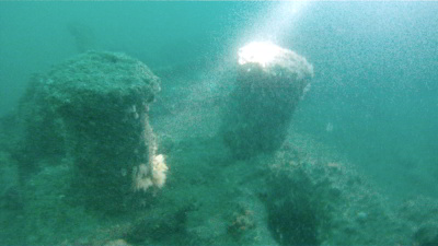 SS Betsy Anna